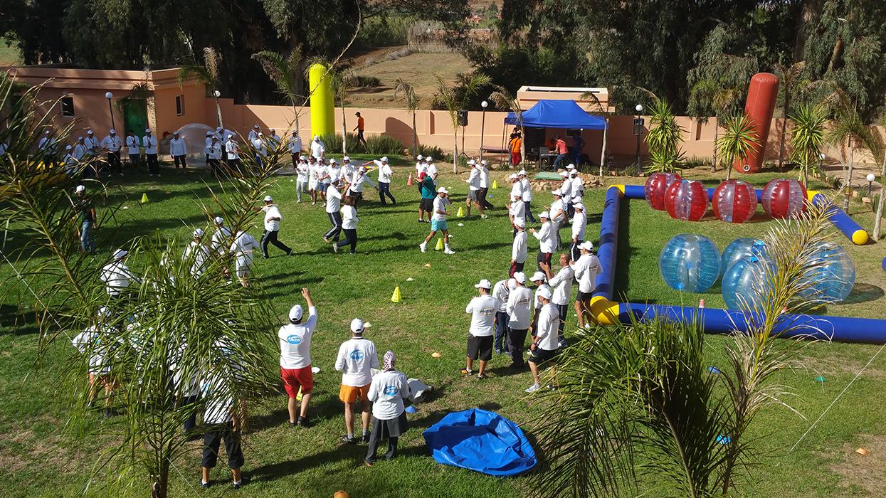 Team Building in the Palmeraie