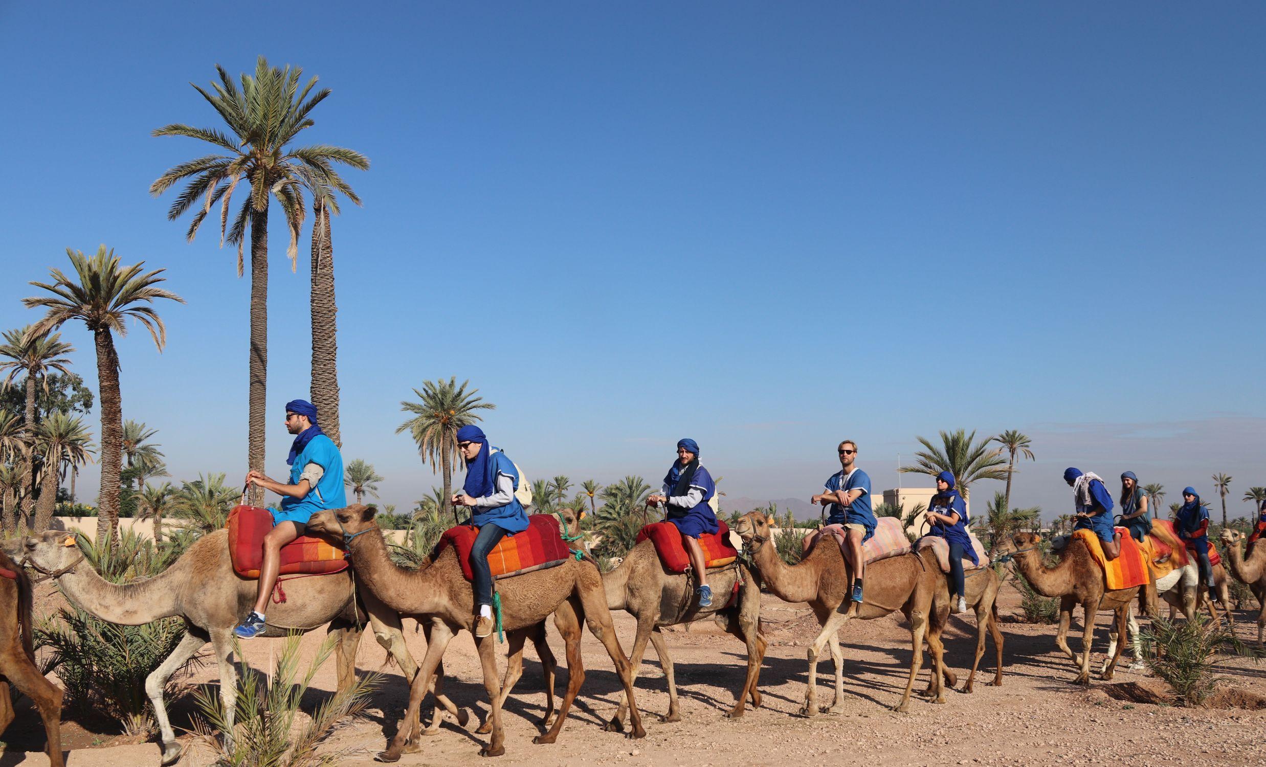 Team Building in the Palmeraie - photo 2