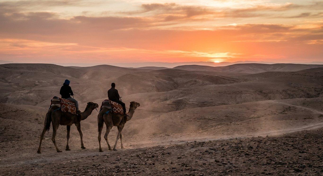Sunset Camels in Agafay - photo 1