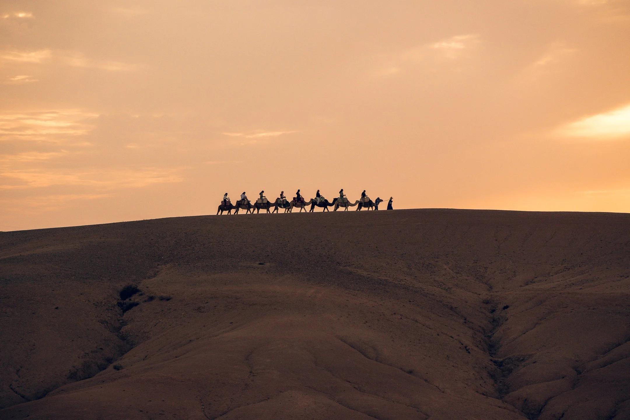 Sunset Camels in Agafay - photo 2