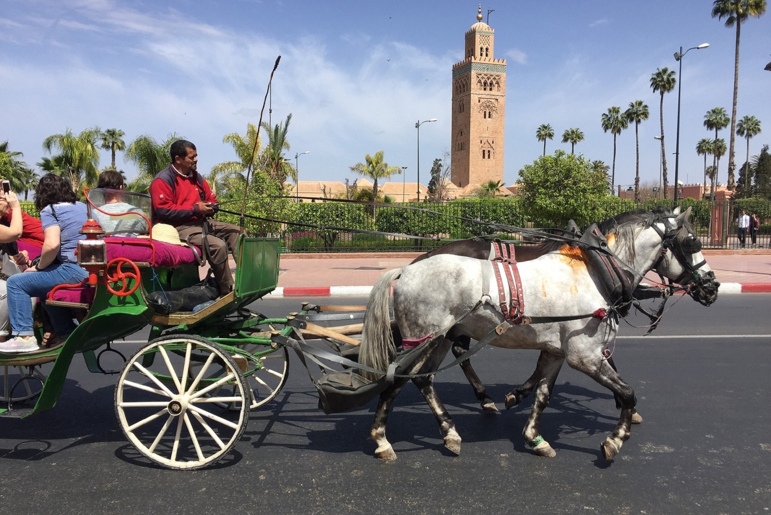 Carriage ride in Marrakech - photo 1
