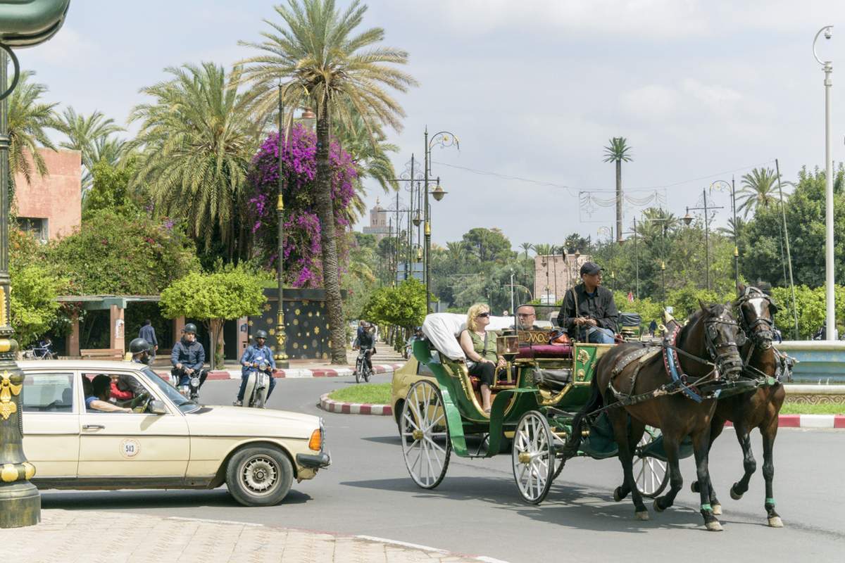 Carriage ride in Marrakech - photo 2