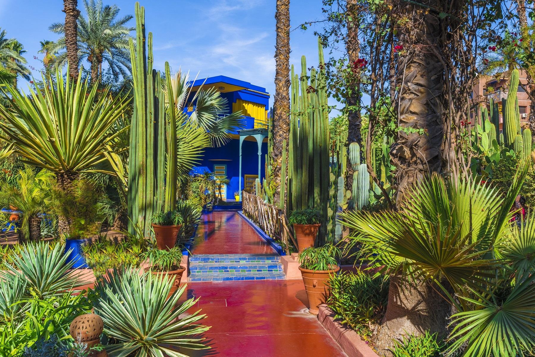 Carriage ride in Marrakech - photo 4
