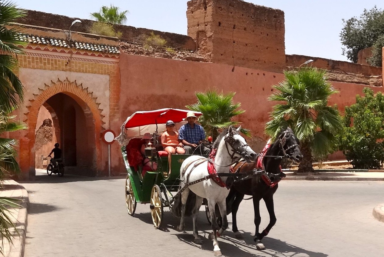 Carriage ride in Marrakech - photo 5