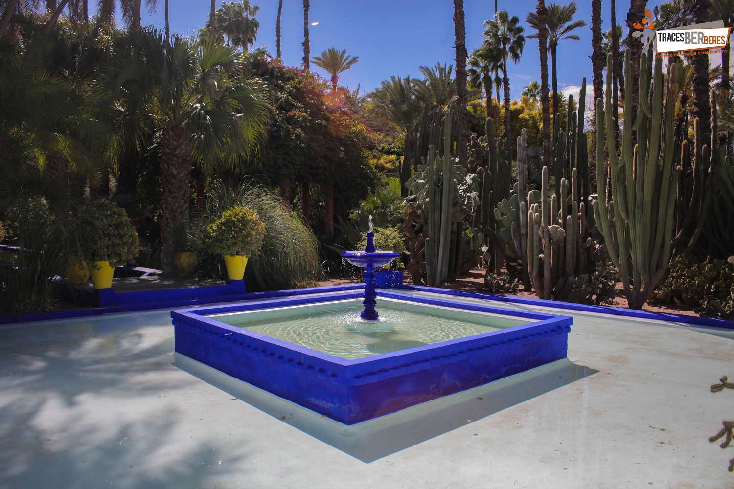 Majorelle Gardens, Museum and Walls - photo 1