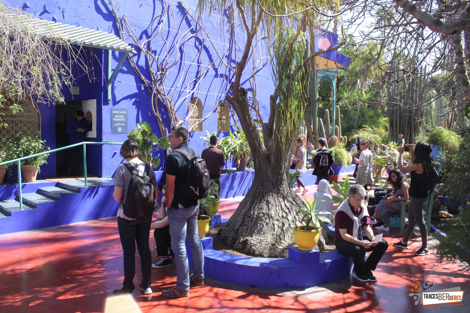 Majorelle Gardens, Museum and Walls - photo 2