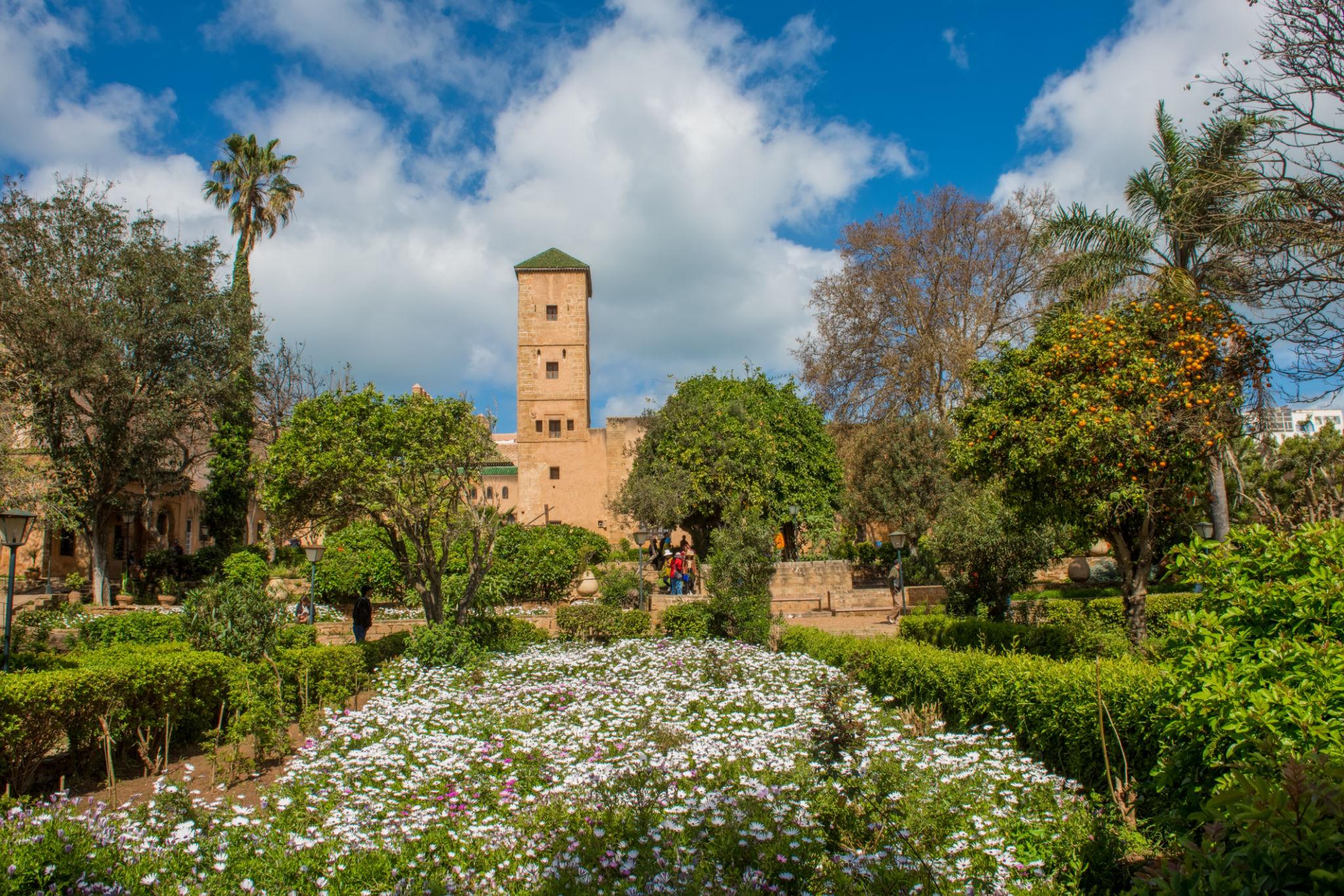 The Full Tour of Morocco - photo 2