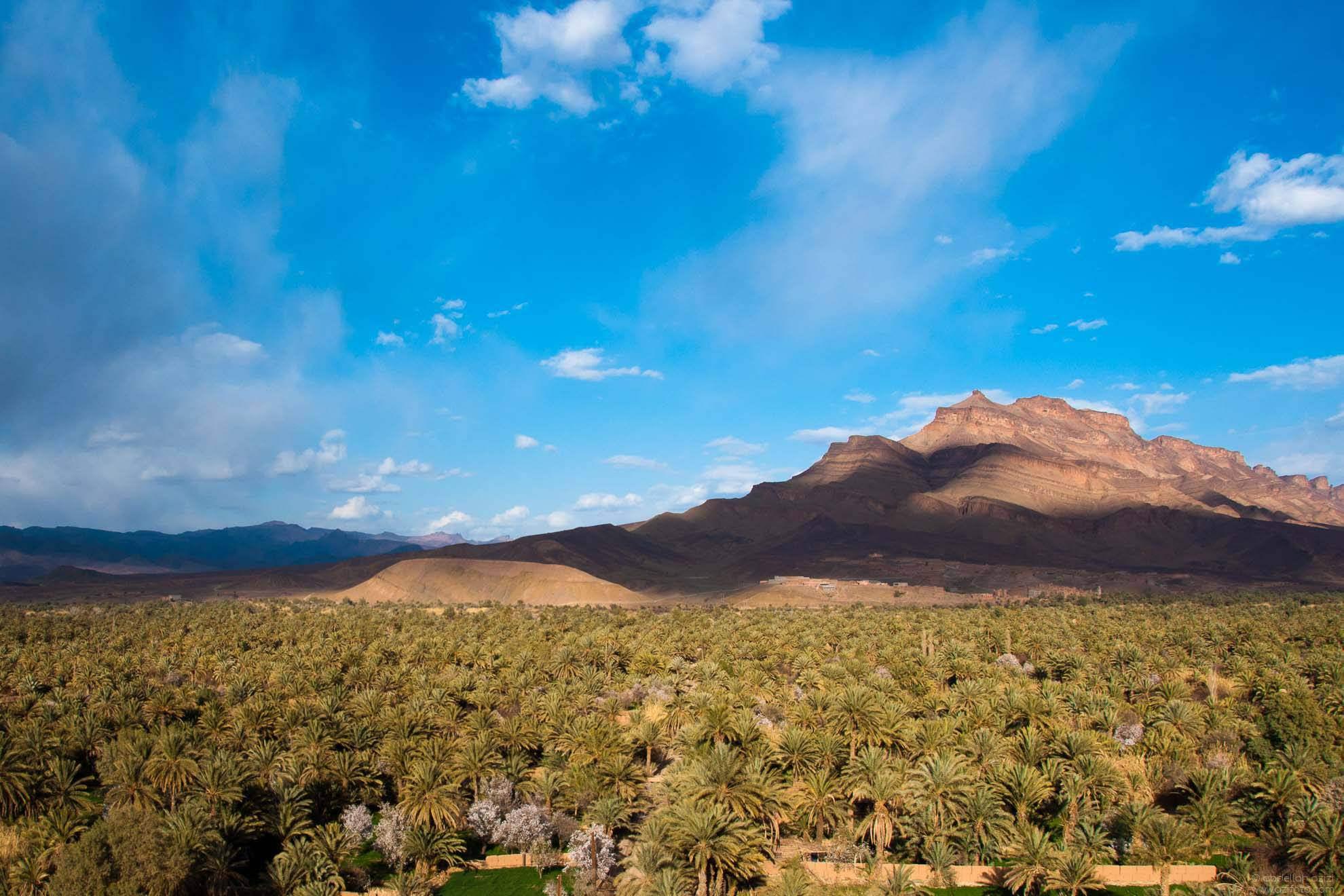 The Grand Tour of Morocco (14 days / 13 nights) - photo 4