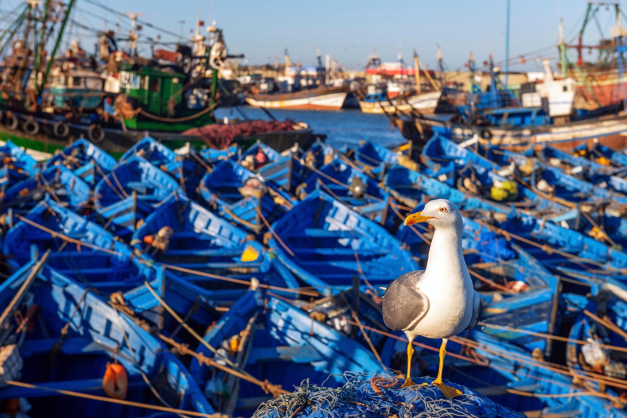 The Grand Tour of Morocco (14 days / 13 nights) - photo 5