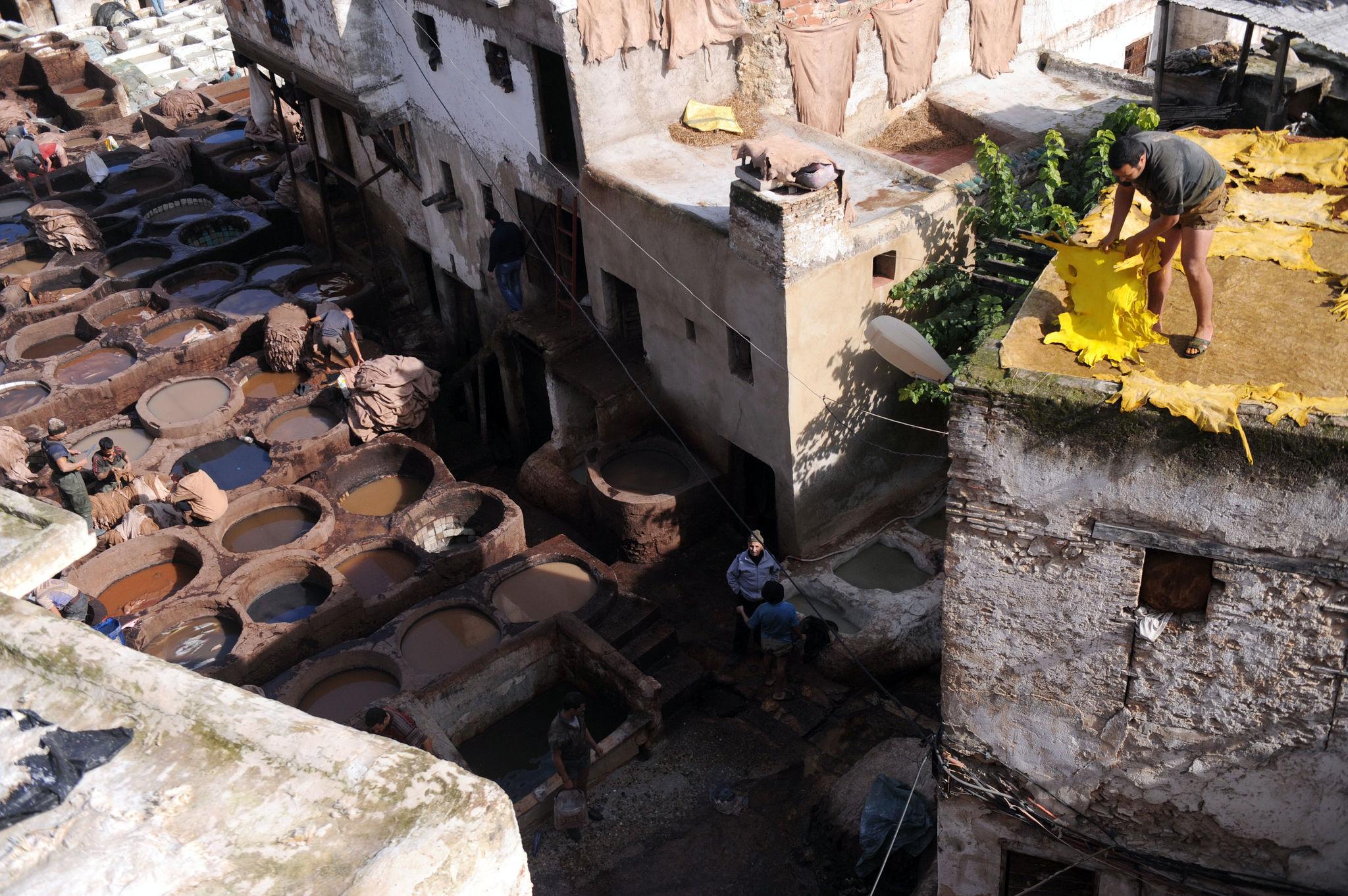 Discovery of Fez